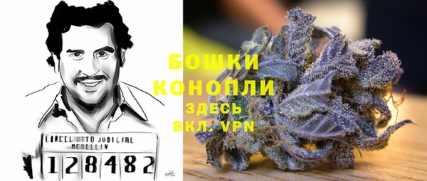 PSILOCYBIN Пересвет