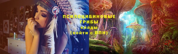 молекула духа Алзамай
